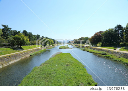 北山通り付近の賀茂川 北山通り付近の賀茂川 13976288