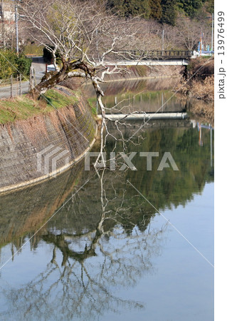 南海東 砂川の風景 13976499
