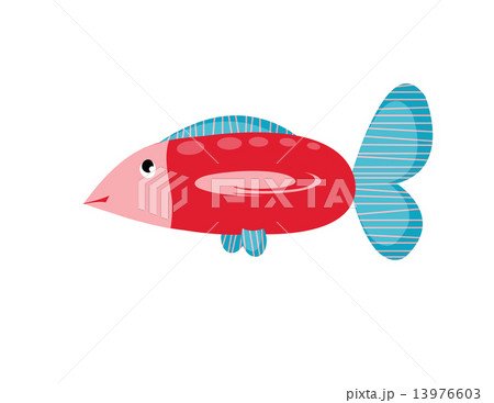 big fish big fish 13976603