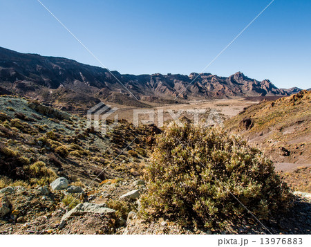 Desert landscape of Volcano Teide National Park 13976883