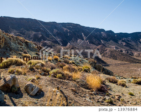 Desert landscape of Volcano Teide National Park Desert landscape of Volcano Teide National Park 13976884