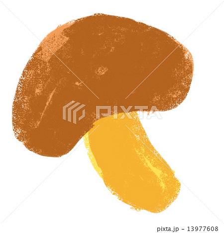 しいたけ しいたけ 13977608