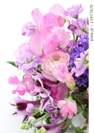 紫のヒヤシンスのアレンジ（縦　右半分） 13977670