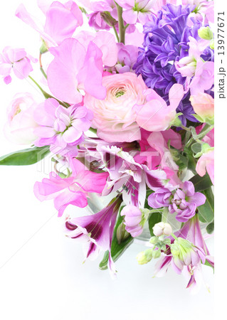 紫のヒヤシンスのアレンジ(縦 右上) 紫のヒヤシンスのアレンジ(縦 右上) 13977671