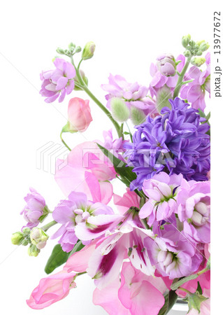 紫のヒヤシンスのアレンジ(縦 右下) 紫のヒヤシンスのアレンジ(縦 右下) 13977672