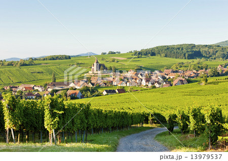 Hunawihr, Alsace, France Hunawihr, Alsace, France 13979537