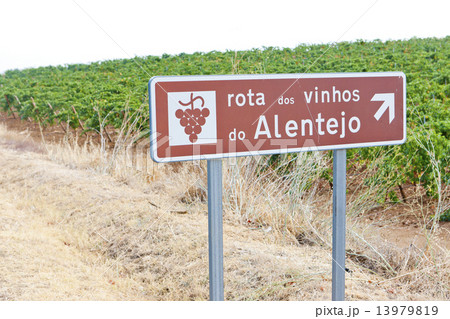 vineyars and wine route in Alentejo, Portugal vineyars and wine route in Alentejo, Portugal 13979819