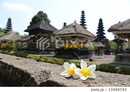 タマンアユン寺院 タマンアユン寺院 13980593