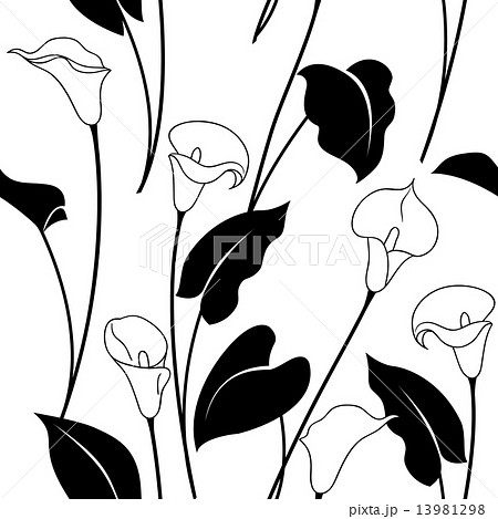 Black and white calla lily pattern 13981298