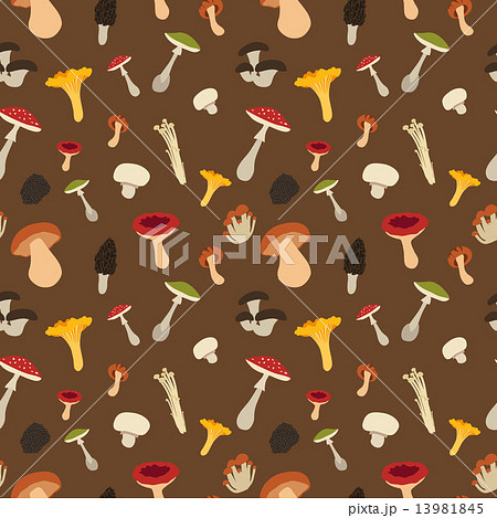 Mushroom seamless pattern Mushroom seamless pattern 13981845