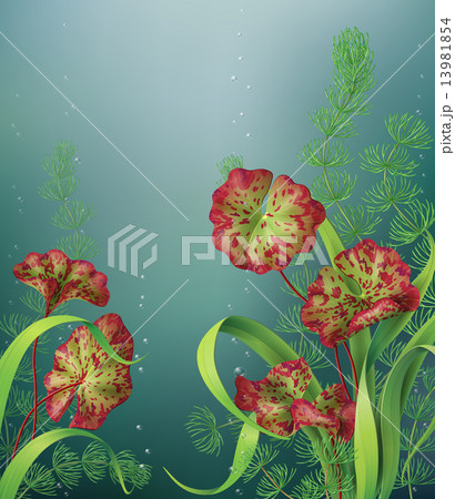 Underwater background with aquatic plants 13981854