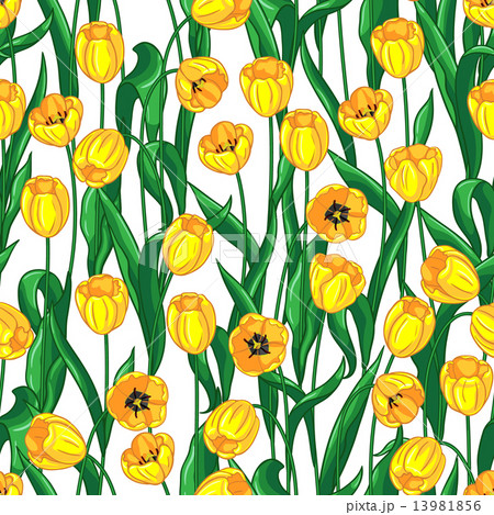 Yellow tulips pattern 13981856
