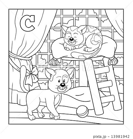 Coloring book (cat), colorless alphabet for children 13981942