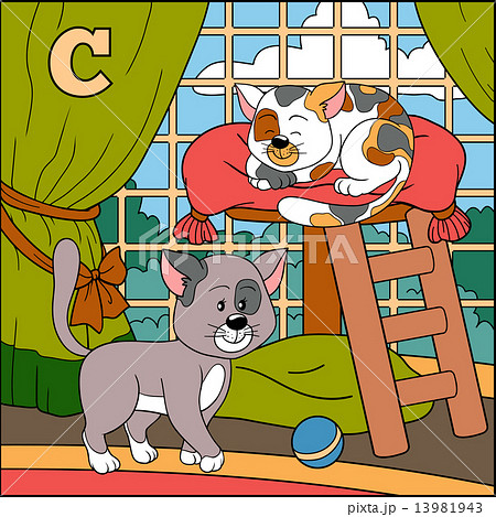 Color alphabet for children 13981943
