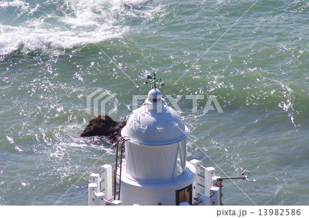 見下ろす伊良湖岬灯台 13982586