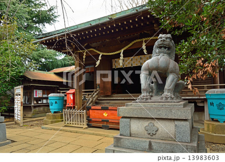 谷根千散歩・境内の狛犬 諏方神社 谷根千散歩・境内の狛犬 諏方神社 13983603