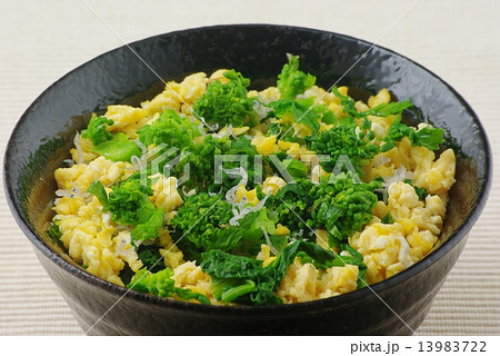 菜の花ご飯 菜の花ご飯 13983722