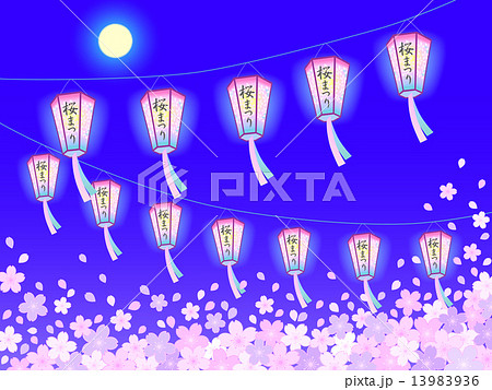 さくら提灯　夜桜5 13983936