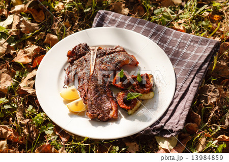 grilled steak 13984859