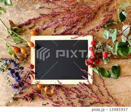 plants with empty chalkboard plants with empty chalkboard 13985937