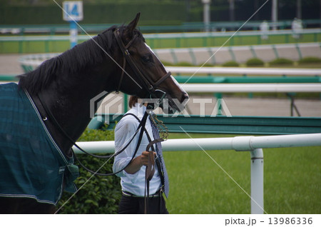 ウィナーズサークル 13986336