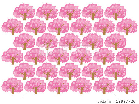 満開の桜のパターン 13987726