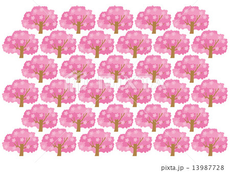 満開の桜のパターン 13987728