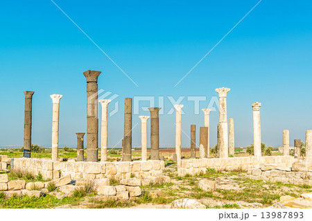 グウエイルベ遺跡(ヨルダン、イルビド北) 13987893