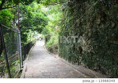 金城町・石畳通り(沖縄県那覇市首里金城町) 金城町・石畳通り(沖縄県那覇市首里金城町) 13988349