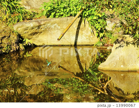 水しぶきとカワセミ 水しぶきとカワセミ 13990067