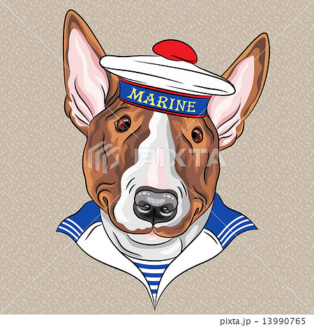 vector funny cartoon hipster dog Bullterrier sailor 13990765