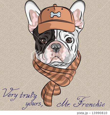 Vector Funny Cartoon Hipster Dog French のイラスト素材