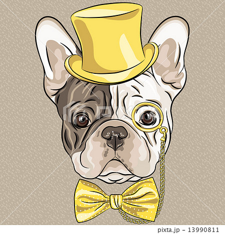 vector funny cartoon hipster French Bulldog dog 13990811