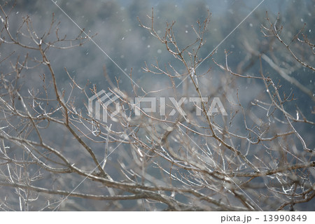 風花舞う山里 13990849
