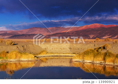 Northern Argentina 13990921