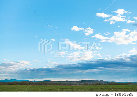 blue evening sky over winter crop fields in spring 13991939