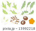 お鍋の材料（野菜ときのこ） 13992218