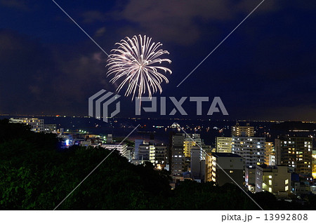よこすか開国祭　横須賀花火大会　2013年　横須賀中央公園からの眺望 （ 神奈川県 横須賀市 ） 13992808