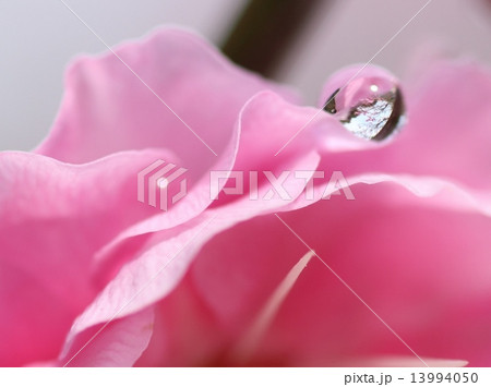 水滴 13994050