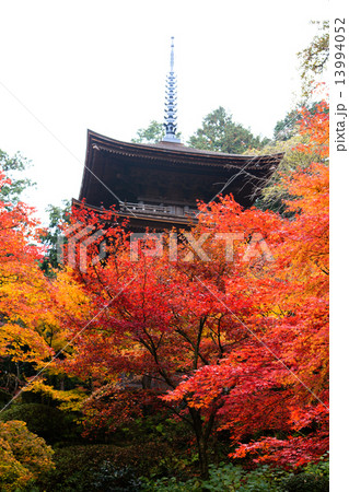 湖東三山 金剛輪寺の紅葉 湖東三山 金剛輪寺の紅葉 13994052