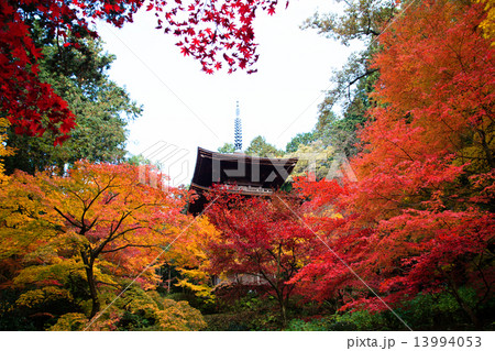 湖東三山 金剛輪寺の紅葉 湖東三山 金剛輪寺の紅葉 13994053