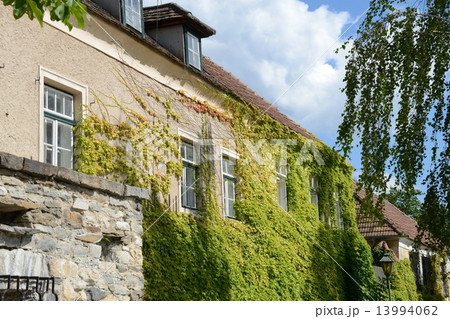 オーストリア　ブァッハウ渓谷-デュルンシュタイン 13994062