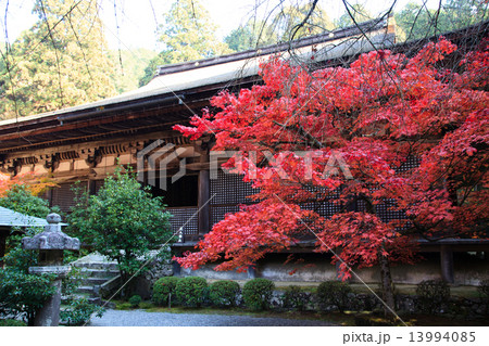 湖東三山 金剛輪寺 大悲閣本堂 13994085