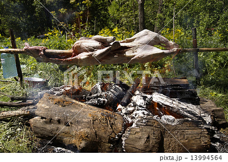 barbecue with cow on a fire 13994564