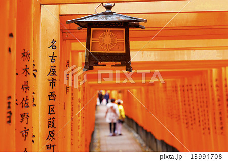 Fushimi Inari Shrine Fushimi Inari Shrine 13994708