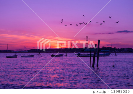 手賀沼の日没 13995039
