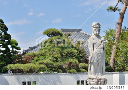 杉並区にある長龍寺の観音像と本堂 13995585