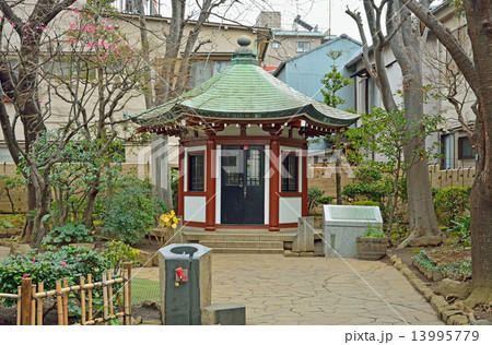谷根千散歩・岡倉天心記念公園 13995779