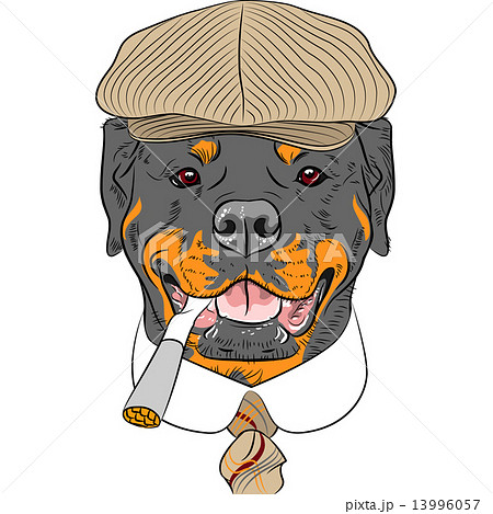 vector funny cartoon hipster dog Rottweiler vector funny cartoon hipster dog Rottweiler 13996057