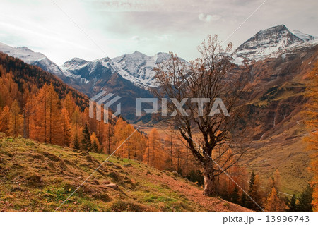 Autumn in the Alps in Austria Autumn in the Alps in Austria 13996743